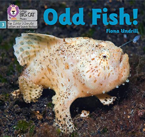 Odd Fish!: Phase 3 (Big Cat Phonics for Little Wandle Letters and Sounds Revised) - Fiona Undrill [KSIĄŻKA]