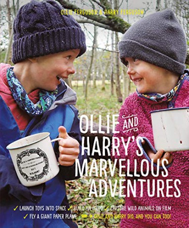 Ollie and Harry's Marvellous Adventures - Ollie Ferguson [KSIĄŻKA]