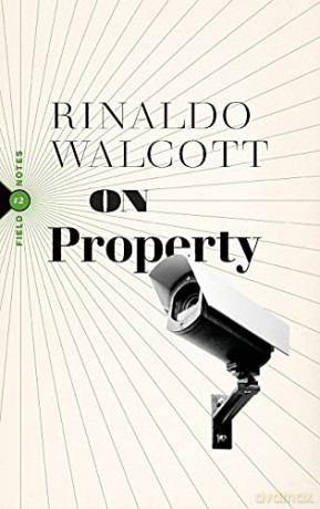 On Property: Policing, Prisons, and the Call for Abolition: 2 (Field Notes, 2) - Rinaldo Walcott [KSIĄŻKA]