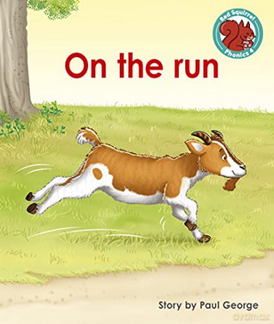 On the run (Red Squirrel Phonics Level 4) - Paul George [KSIĄŻKA]