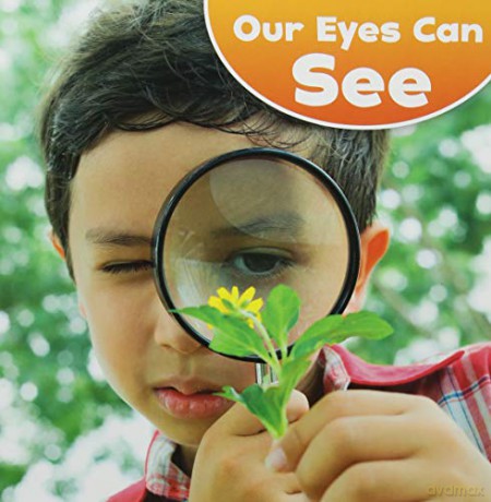 Our Amazing Senses: Our Eyes Can See - Jodi Lyn Wheeler-Toppen [KSIĄŻKA]