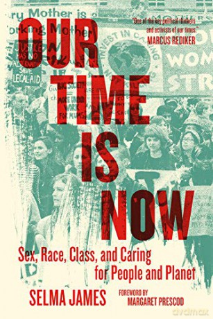 Our Time Is Now: Sex, Race, Class, and Caring for People and Planet - James [KSIĄŻKA]