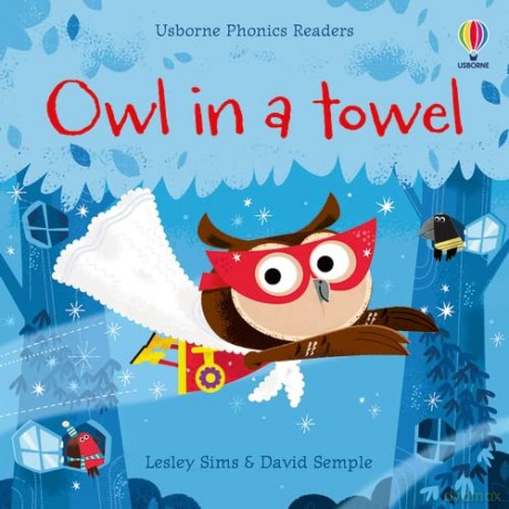 Owl in a Towel (Phonics Readers) - Lesley Sims [KSIĄŻKA]