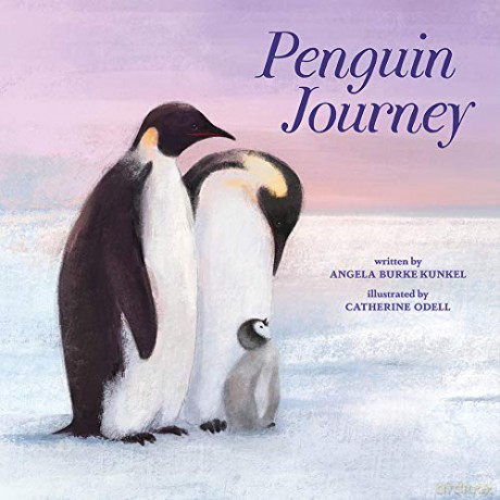 Penguin Journey - Angela Burke Kunkel [KSIĄŻKA]