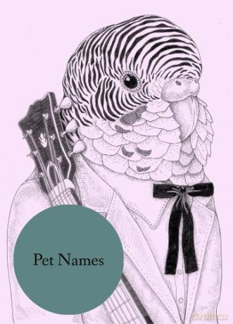 Pet Names - Lauren Lovett [KSIĄŻKA]