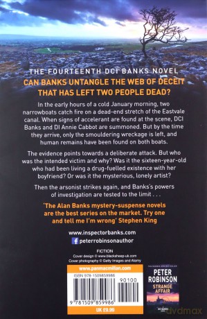 Playing With Fire (The Inspector Banks series) - Peter Robinson [KSIĄŻKA]