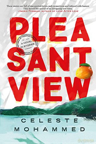 Pleasantview - Celeste Mohammed [KSIĄŻKA]