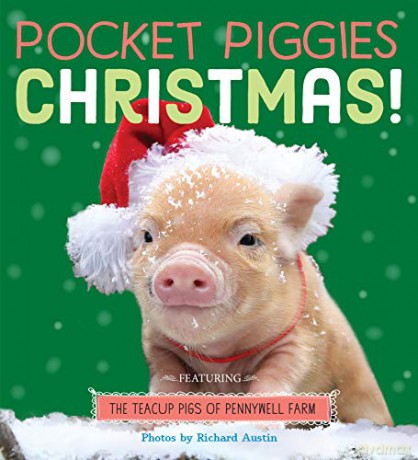Pocket Piggies: Christmas! - Richard Austin [KSIĄŻKA]