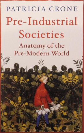 Pre-Industrial Societies: Anatomy of the Pre-Modern World - Patricia Crone [KSIĄŻKA]