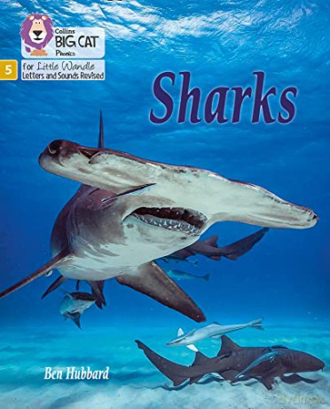 Sharks: Phase 5 (Big Cat Phonics for Little Wandle Letters and Sounds Revised) - Ben Hubbard [KSIĄŻKA]