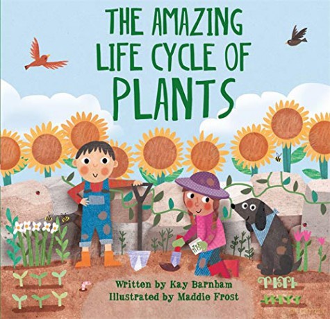 The Amazing Plant Life Cycle Story - Kay Barnham [KSIĄŻKA]