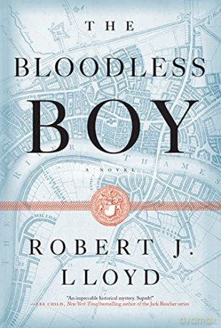 The Bloodless Boy (A Hunt and Hooke Novel) - Robert J. Lloyd [KSIĄŻKA]