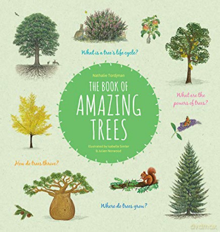 The Book of Amazing Trees: 1 - Nathalie Tordjman [KSIĄŻKA]