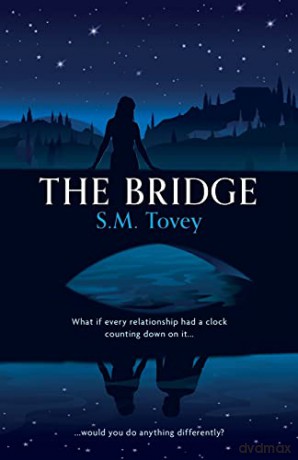 The Bridge - SM Tovey [KSIĄŻKA]