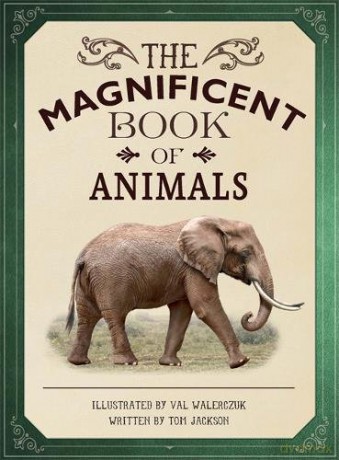 The Magnificent Book of Animals - Tom Jackson [KSIĄŻKA]