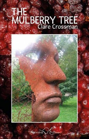 The Mulberry Tree - Clare Crossman [KSIĄŻKA]