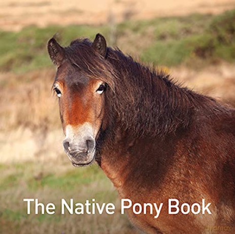 The Native Pony Book (The Nature Book Series) - Jane Russ [KSIĄŻKA]