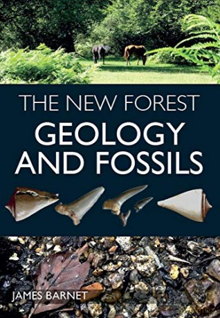 The New Forest: Geology and Fossils - James Barnet [KSIĄŻKA]