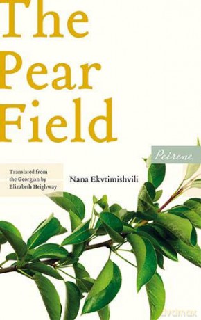 The Pear Field - Nana Ekvtimishvili [KSIĄŻKA]