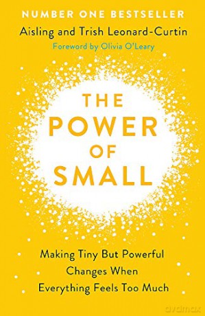 The Power of Small: How to Make Tiny But Powerful Changes When Everything Feels Too Much - Aisling Leonard-Curtin [KSIĄŻKA]