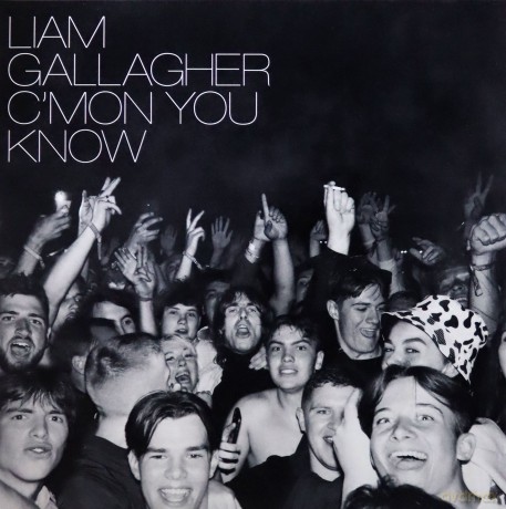 Liam Gallagher: C'mon You Know [Winyl]