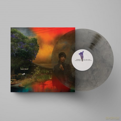 Sharon Van Etten: We've Been Going About This All Wrong (Marbled) [Winyl]