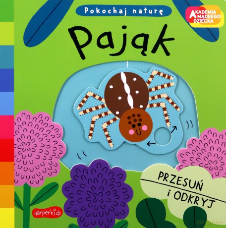 Pająk. Akademia mądrego dziecka. Pokochaj naturę - Campbell Books [KSIĄŻKA]