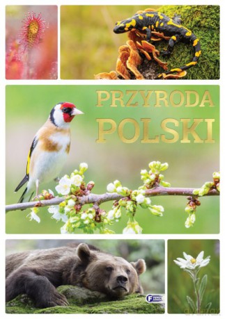 Przyroda Polski [KSIĄŻKA]
