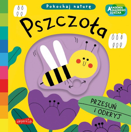 Pszczoła. Akademia mądrego dziecka. Pokochaj naturę - Campbell Books [KSIĄŻKA]