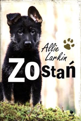 Zostań - Allie Larkin [KSIĄŻKA]