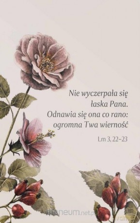 Magnes na lodówkę - Nie wyczerpała się łaska Pana