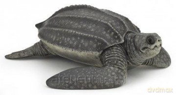 Żółw skórzasty [FIGURKA]