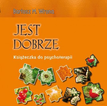 Jest Dobrze Książka Do Psychoterapii - Bartosz Wrona [KSIĄŻKA]