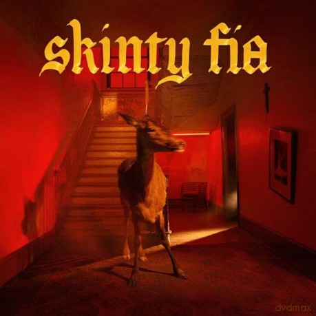Fontaines D.C.: Skinty Fia (Deluxe) [2xWinyl]