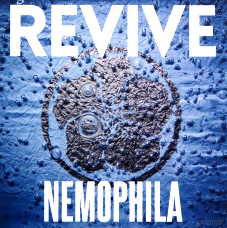 Nemophila: Revive [CD]