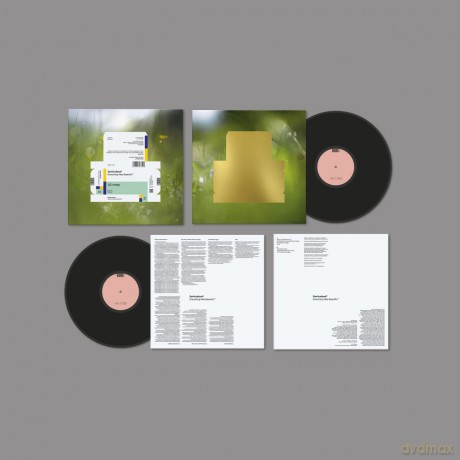 Spiritualized: Everything Was Beautiful [Winyl]