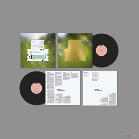 Spiritualized: Everything Was Beautiful [Winyl]