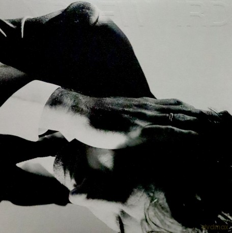 Andrew Bird: Inside Problems [Winyl]