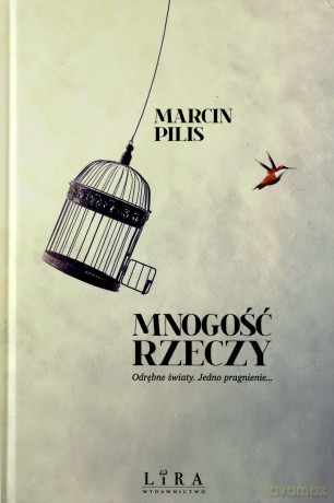 Mnogość rzeczy - Marcin Pilis [KSIĄŻKA]