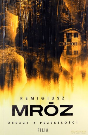 Obrazy z przeszłości - Remigiusz Mróz [KSIĄŻKA]