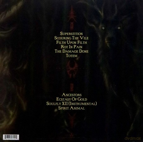 Soulfly: Totem [Winyl]