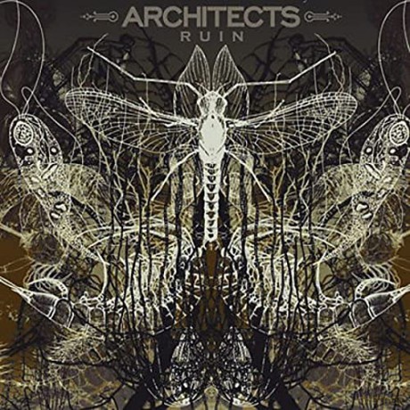 Architects: Ruin [Winyl]