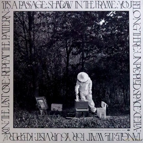 Daniel Rossen: You Belong There (Limited) [Winyl]
