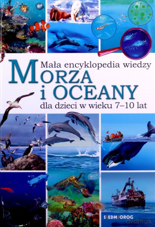 Mała encyklopedia wiedzy. Morza i oceany - Eryk Chilmon [KSIĄŻKA]