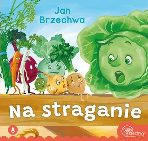 Na straganie - Jan Brzechwa [KSIĄŻKA]