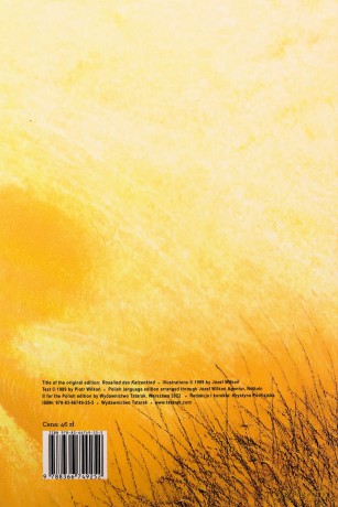 Ruda - Piotr Wilkoń, Józef Wilkoń [KSIĄŻKA]