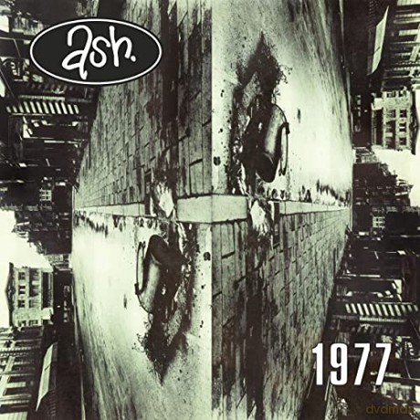 Ash: 1977 (Splatter) [Winyl]