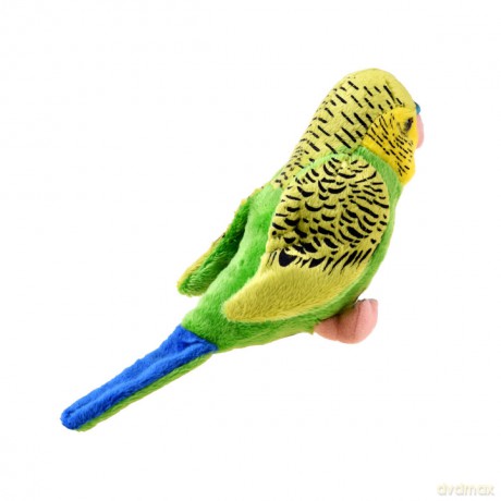 Maskotka Papuga falista zielono-niebieska 13 cm