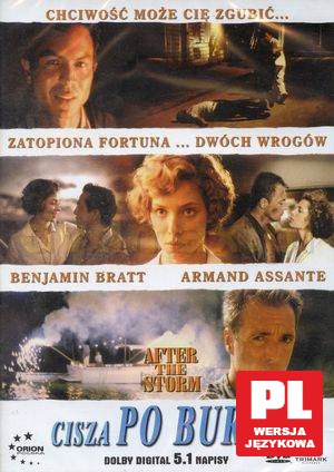 Cisza po burzy [DVD]