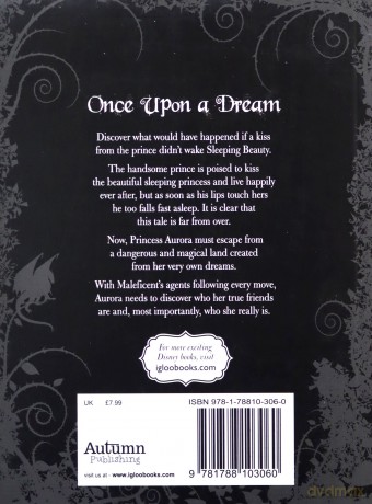 Disney Once Upon A Dream - Liz Braswell [KSIĄŻKA]